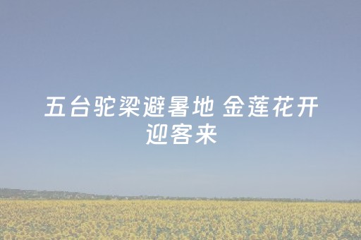 终于发现“微信抢红包埋雷扫雷真的有开挂神器吗”（详细透视教程）-哔哩哔哩