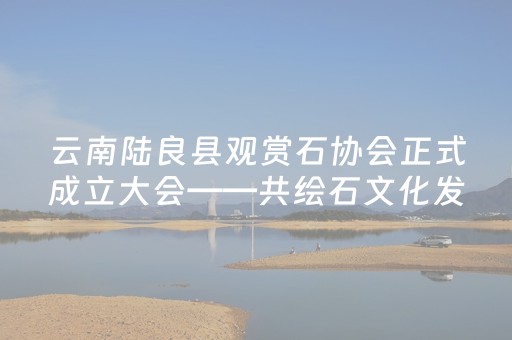 玩家必备教程“麻将机解码器app”（详细透视教程）-哔哩哔哩