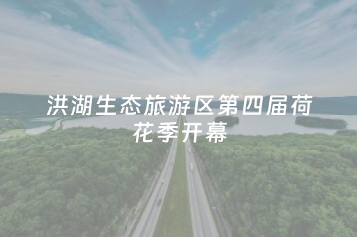 2分钟秒懂！“手机扑克牌读牌器”（详细辅助教程）-哔哩哔哩
