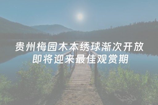 实测分析“打麻将100%能赢的神器”（详细辅助教程）-哔哩哔哩