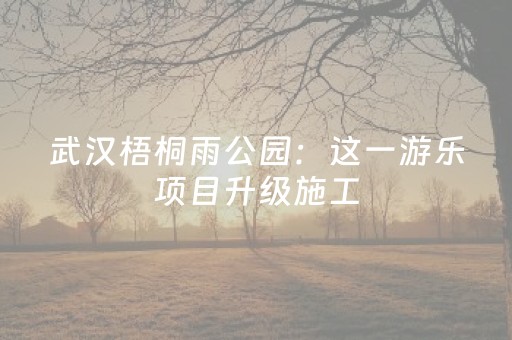 终于发现“微友时代红包扫雷专用挂有挂吗”（详细透视教程）-哔哩哔哩