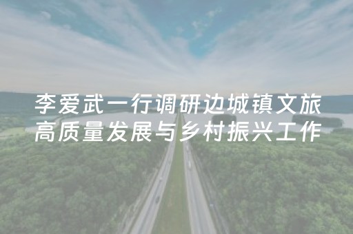 李爱武一行调研边城镇文旅高质量发展与乡村振兴工作