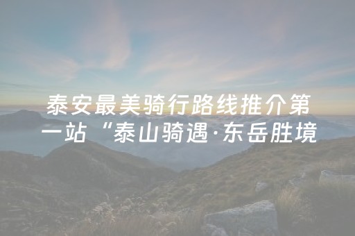 实测分享“广东雀神辅助插件哪里买”（详细开挂教程）-哔哩哔哩