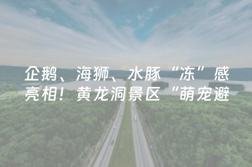 新版本“中至麻将祈福功能有什么用”（详细透视教程）-哔哩哔哩