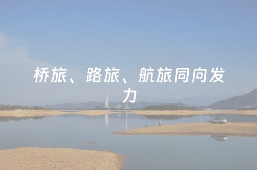 实测分享“微信小程序麻将怎么能调好牌”（详细透视教程）-哔哩哔哩