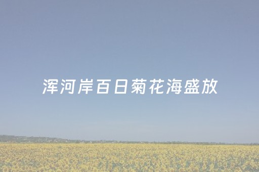 终于发现了“决战十三水如何提高拿好牌几率”（详细透视教程）-哔哩哔哩