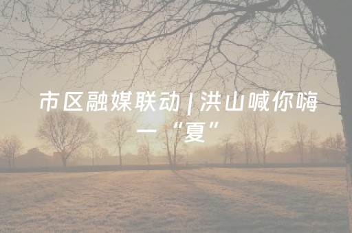 实测辅助“微信小程序麻将插件”（详细透视教程）-哔哩哔哩