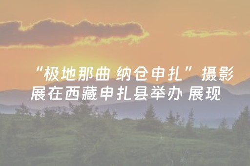 今日实测“手机微乐麻将一直输怎么回事”（详细透视教程）-哔哩哔哩