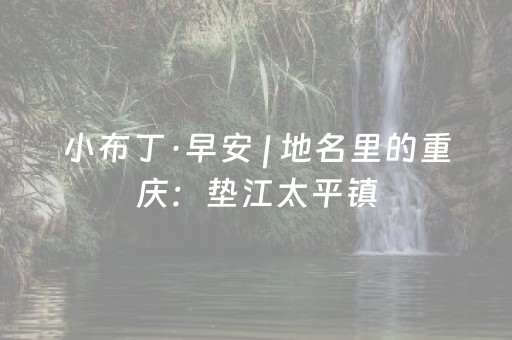 必看教程“小程序麻将透牌神器”（详细透视教程）-哔哩哔哩