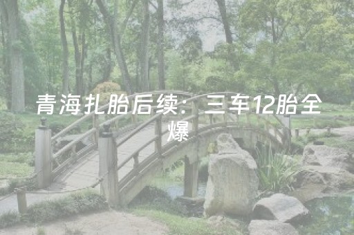 终于发现“微乐河南麻将为什么总是输”（详细透视教程）-哔哩哔哩