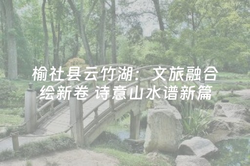 实测教程“单人飞针麻将机视频”（详细透视教程）-哔哩哔哩