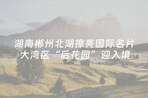 实测辅助“中至赣牌圈有外挂吗”（详细透视教程）-哔哩哔哩