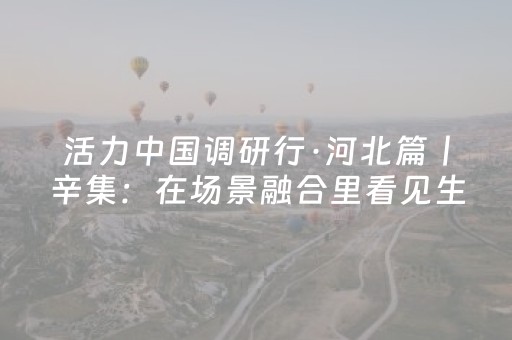 终于发现“2022微信红包埋雷10个包控制尾数技巧”（详细透视教程）-哔哩哔哩