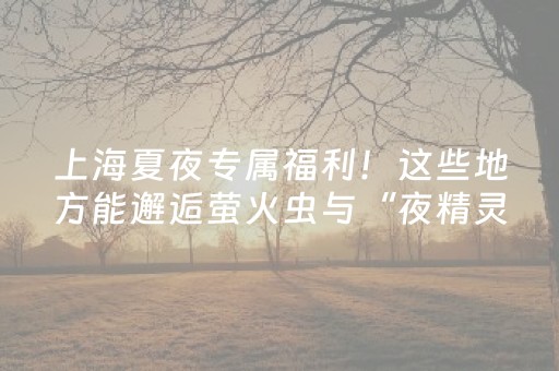 今日盘点“微友麻将神器通用版”（详细辅助教程）-哔哩哔哩