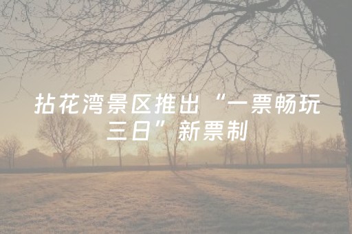 今日实测“手机三公作弊”（详细开挂教程）-哔哩哔哩