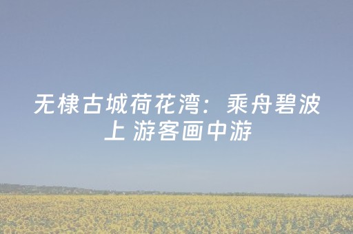 必看教程！“边锋干瞪眼辅助器免费”（详细辅助教程）-哔哩哔哩