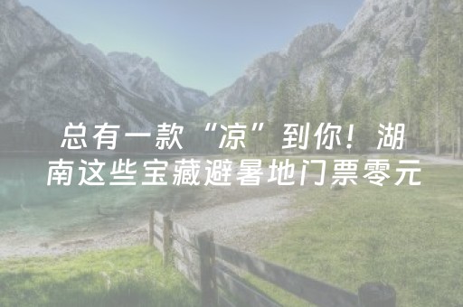 玩家必看教程！“小程序麻将控牌”（详细辅助教程）-哔哩哔哩