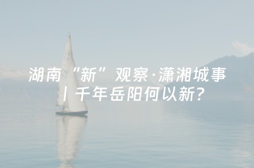 必看教程！“微信金花小程序辅助器”（详细辅助教程）-哔哩哔哩
