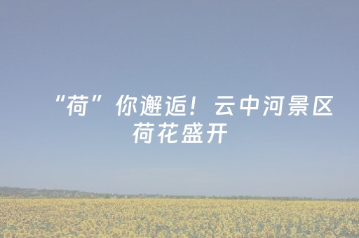 2分钟秒懂！“手机麻将专用器新款”（详细辅助教程）-哔哩哔哩
