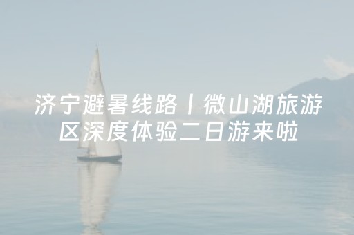 2分钟秒懂！“中至讨赏辅助器”（详细透视教程）-哔哩哔哩