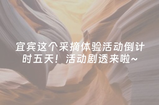 实测分析“微乐四川麻将助赢神器购买”（详细透视教程）-哔哩哔哩