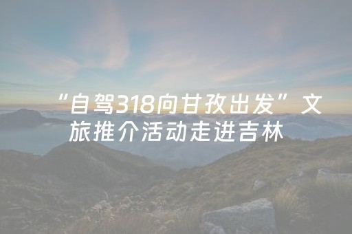 实测教程“不用安装的麻将神器是真的吗”（详细透视教程）-哔哩哔哩