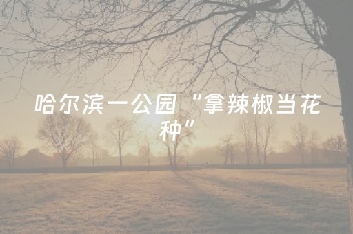 教程辅助“多乐跑得快第三方辅助器”（详细透视教程）-哔哩哔哩