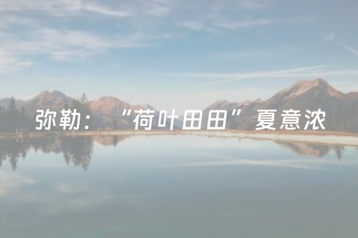 实测教程“普通麻将机免安装感应器”（详细透视教程）-哔哩哔哩