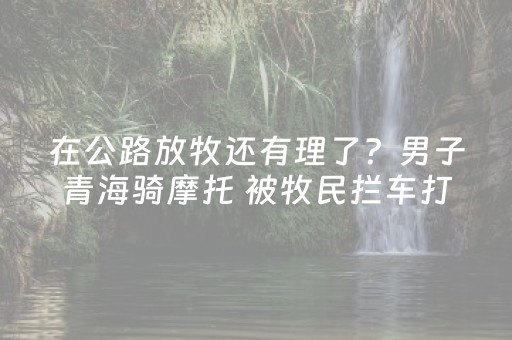 今日实测“微信斗牛怎么发现辅助神器”（详细开挂教程）-哔哩哔哩