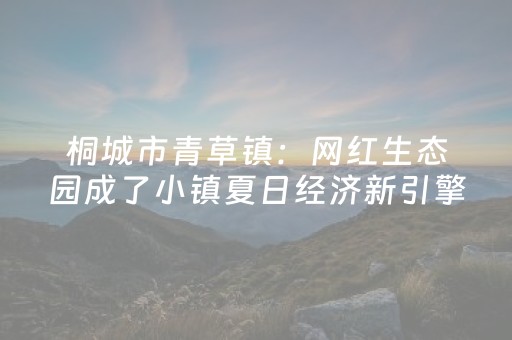 胜率设置方法“飞云购抢红包扫雷埋雷控制尾数开挂软件”（详细透视教程）-哔哩哔哩