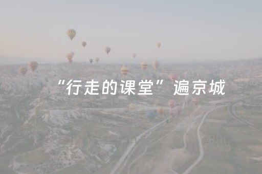 必看教程“抢城信红包神器”（详细透视教程）-哔哩哔哩