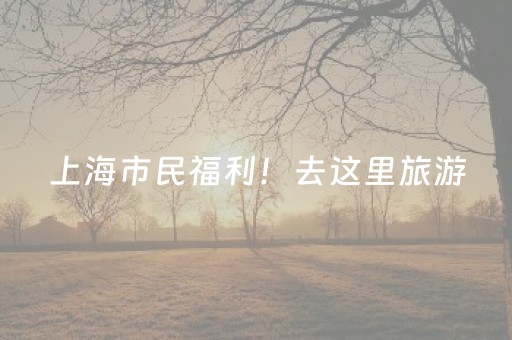 新版本“家乡大贰怎么提高好牌几率”（详细透视教程）-哔哩哔哩