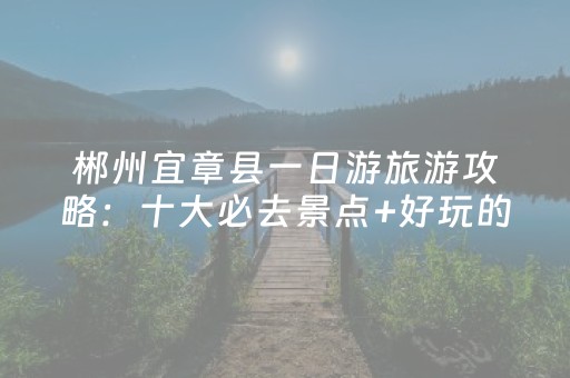 实测分析“小程序麻将控牌器免安装”（详细辅助教程）-哔哩哔哩