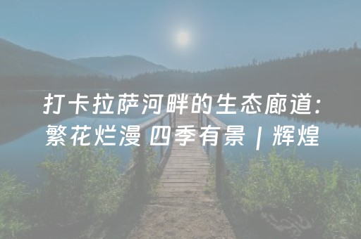 实测教程“边锋跑得快好牌规律”（详细透视教程）-哔哩哔哩
