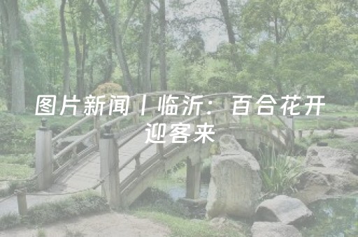 分享辅助“今日花牌有挂吗”（详细透视教程）-哔哩哔哩