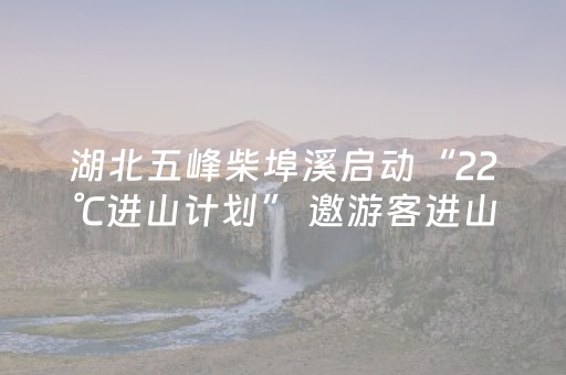 2分钟秒懂！“微乐手机麻将一直输的原因”（详细透视教程）-哔哩哔哩