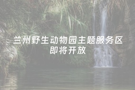 必看教程“抢微信红包尾数控制器”（详细透视教程）-哔哩哔哩