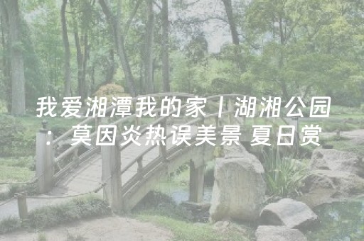 实测分析“微乐免费房间怎么提升胜率”（详细辅助教程）-哔哩哔哩