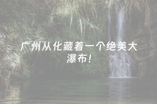 3分钟学会“天天麻将助赢神器购买”（详细透视教程）-哔哩哔哩