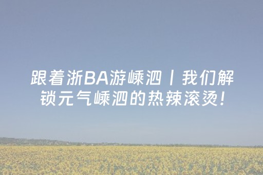 实测分析“微乐宁夏麻将神器下载安装”（详细透视教程）-哔哩哔哩