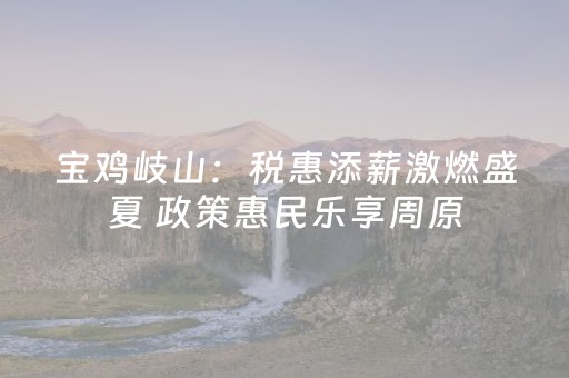 宝鸡岐山：税惠添薪激燃盛夏 政策惠民乐享周原