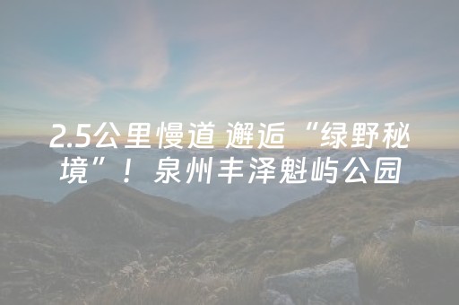 实测教程“苹果微信红包扫雷作弊软件”（详细透视教程）-哔哩哔哩