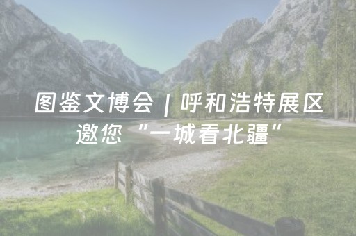 必看教程！“边锋干瞪眼辅助器免费”（详细开挂教程）-哔哩哔哩