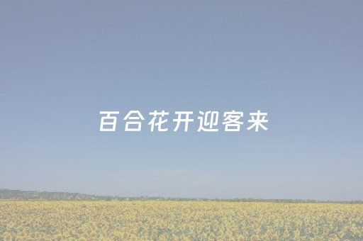 我来教大家“手机十三张出老千有哪些套路”（详细透视教程）-哔哩哔哩
