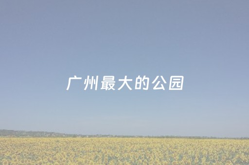 实测分析“手机玩十三水的弊端”（详细辅助教程）-哔哩哔哩
