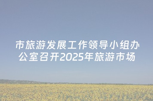 市旅游发展工作领导小组办公室召开2025年旅游市场运行调度会议