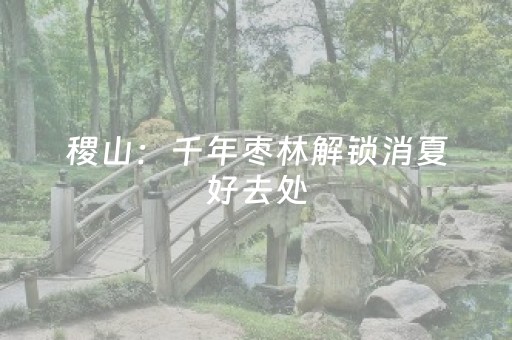 稷山：千年枣林解锁消夏好去处