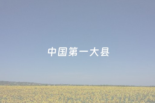 今日实测“扑克辅助器是骗局吗”（详细辅助教程）-哔哩哔哩