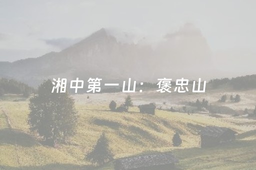 今日实测“闲逸软件可以买挂嘛”（详细开挂教程）-哔哩哔哩
