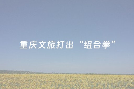 实测辅助“钱塘十三水外挂是不是骗局”（详细透视教程）-哔哩哔哩